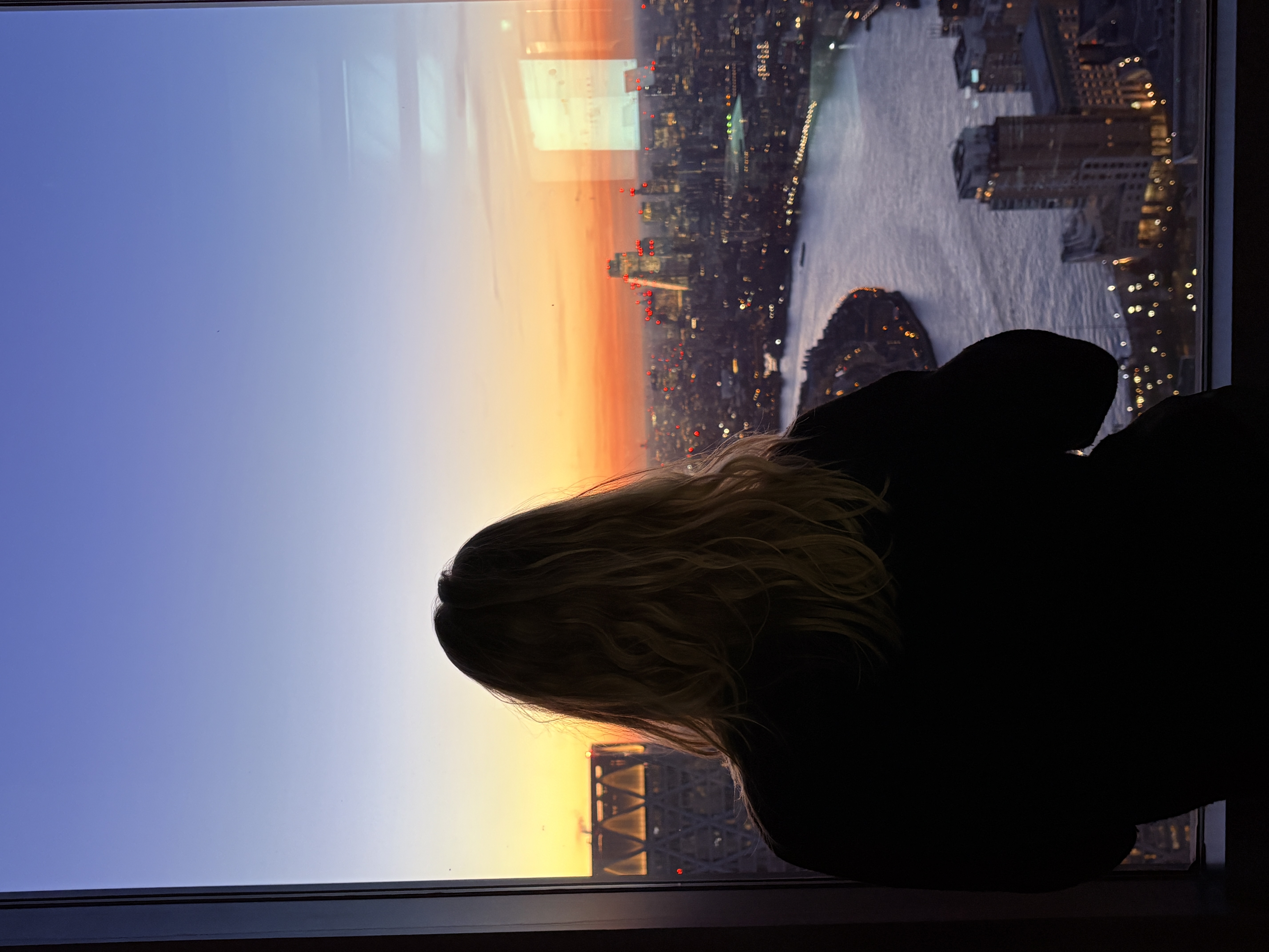 Silhouette against a city skyline at golden hour